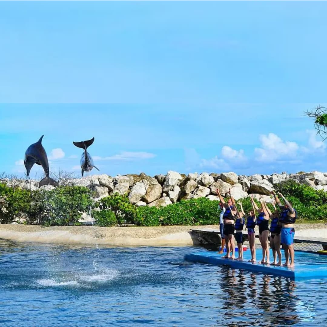 ¡Ven en familia a vivir una experiencia única en Ocean World | Puerto Plata! Paga RD$6,998 en vez de RD$9,500 por un pasadía de encuentro con delfines para 2 adultos y un niño de 4 a 12 años solo en Ocean World | Puerto Plata.