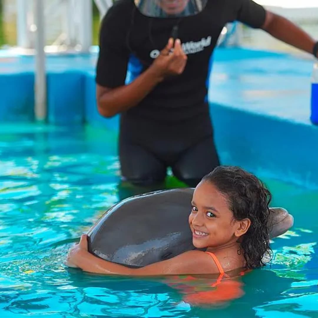 ¡Regala a tu hijo la experiencia de nadar con delfines! Paga RD$3,099 por pasadía de nado con delfines para un niño de 6-12 años solo en Ocean World | Puerto Plata.