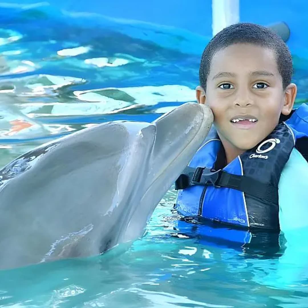¡Que tu hijo disfrute de un pasadía inolvidable! Paga RD$2,499 por pasadía de encuentro con los delfines  para un niño de 4-12 años solo en Ocean World | Puerto Plata.