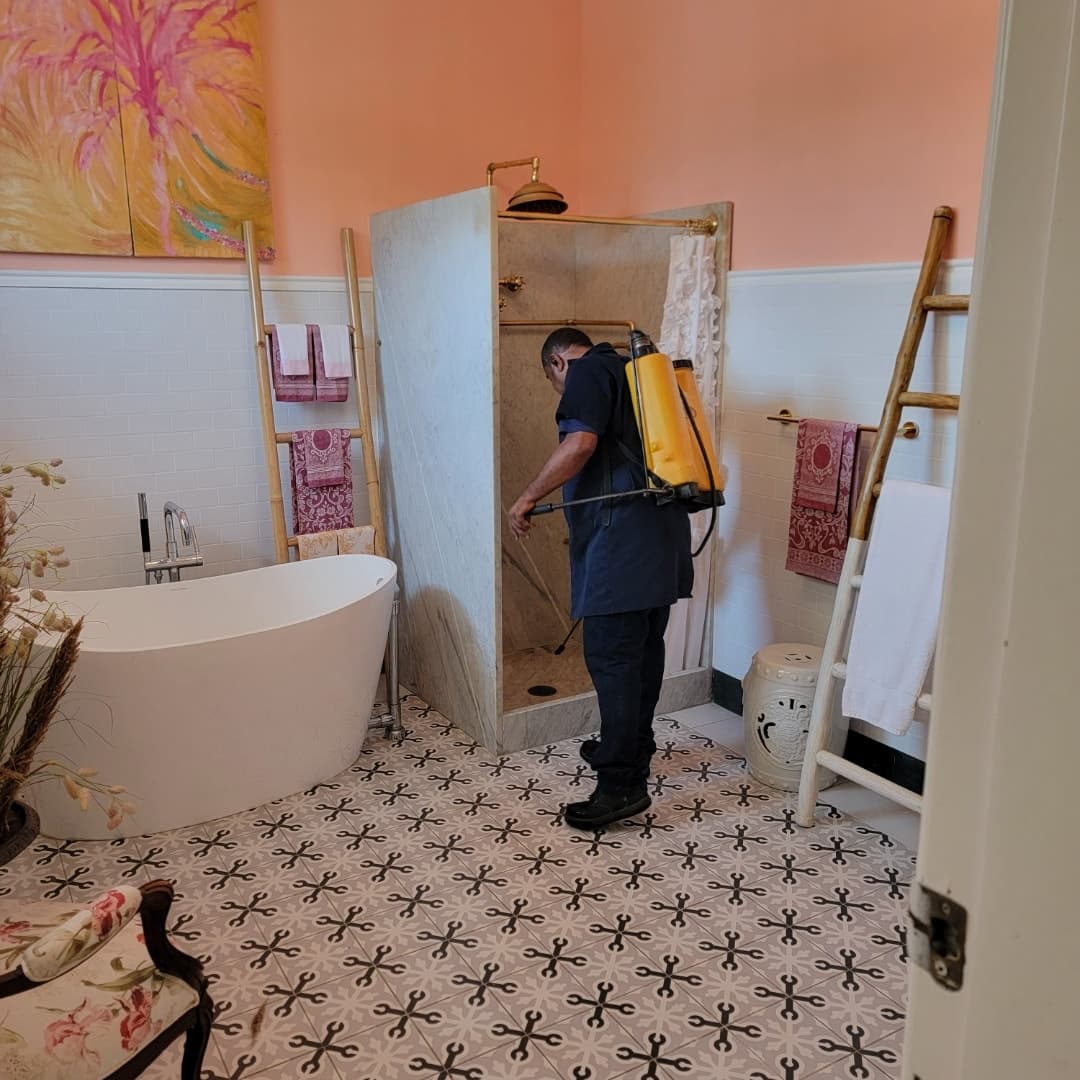 ¡Olvídate de las plagas en tu hogar! Paga RD$2,499 en vez de RD$4,000 por Fumigación para Apartamentos de 1 o 2 Habitaciones en Clic Fumiplagas