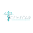 Cemecap Srl