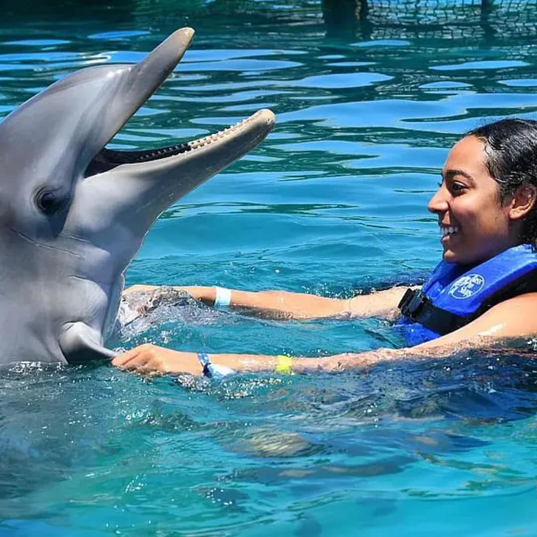 ¡Trae a tu hijo a disfrutar de un pasadía inolvidable! Paga RD$1,999 por pasadía para un niño de 4-12 años solo en Ocean World | Puerto Plata.